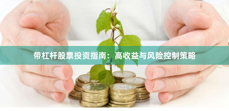 带杠杆股票投资指南：高收益与风险控制策略