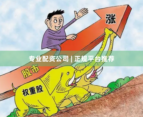 专业配资公司 | 正规平台推荐